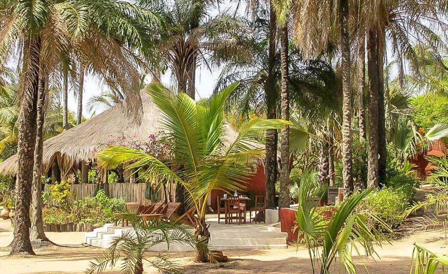 Parc National de Basse Casamance, Ziguinchor Region, Senegal